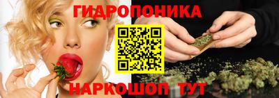 хмурый Сланцы