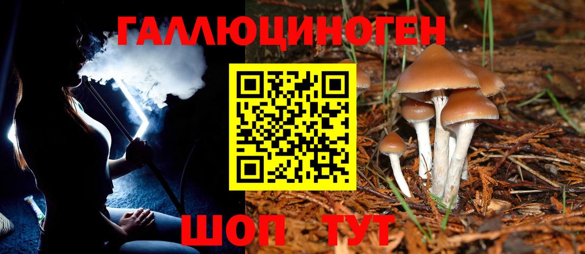 Псилоцибиновые грибы Cubensis  Галлюциногенные грибы Magic Shrooms  Вход с VPN  Полысаево 